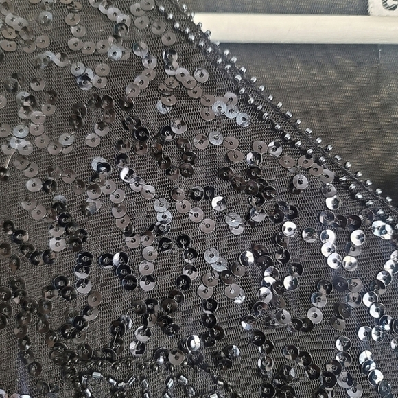 NWT Melanie Lyne Textured Sequins Chiffon Long Sleeve Top  Size Medium - Picture 9 of 13